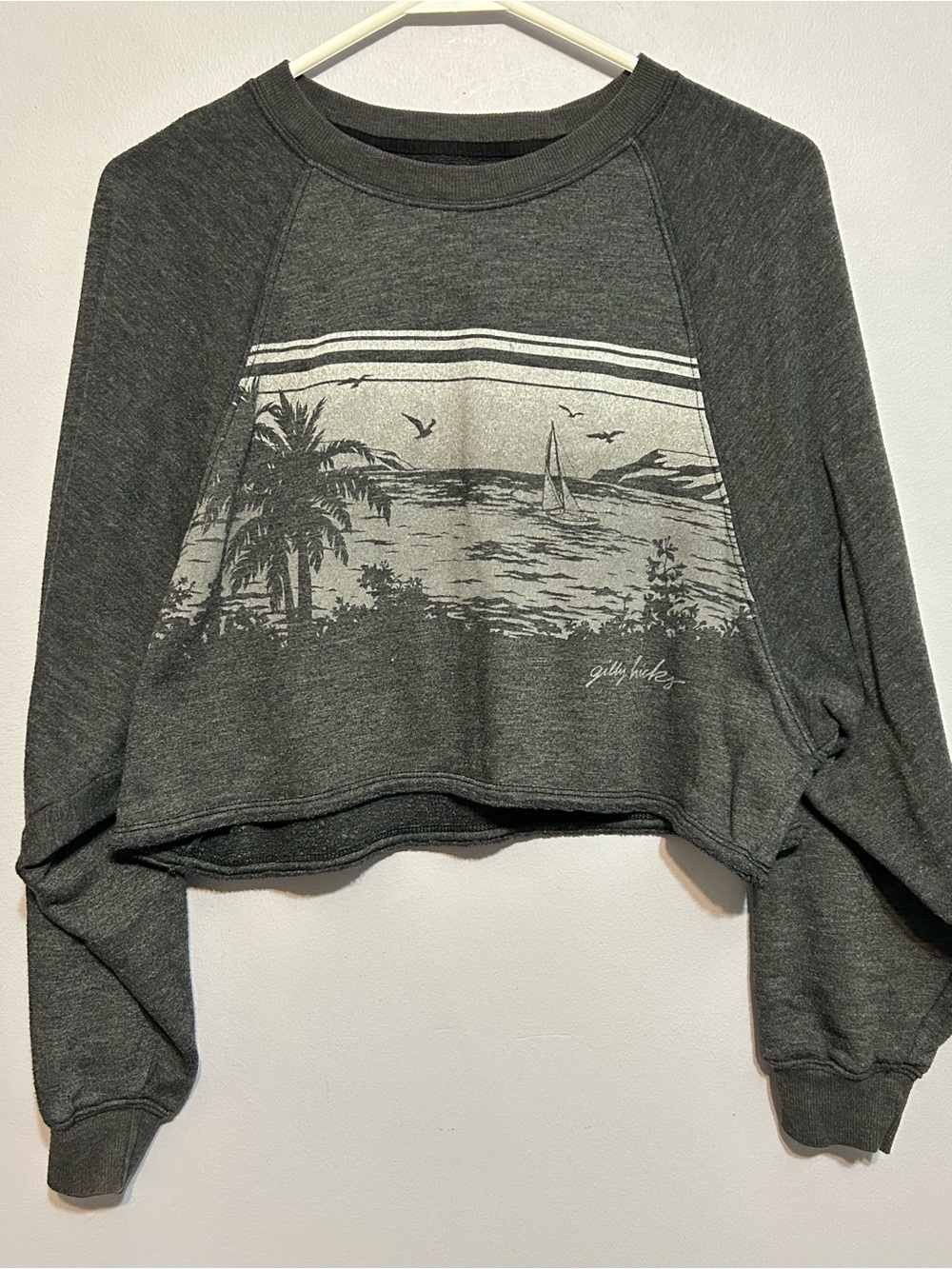 Gilly Hicks by Hollister Cropped Sweatshirt